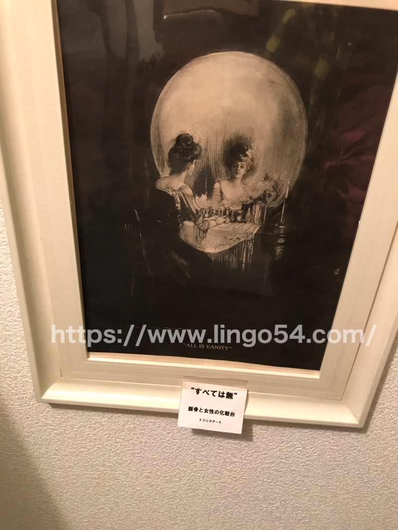 skull museum 1F−2F