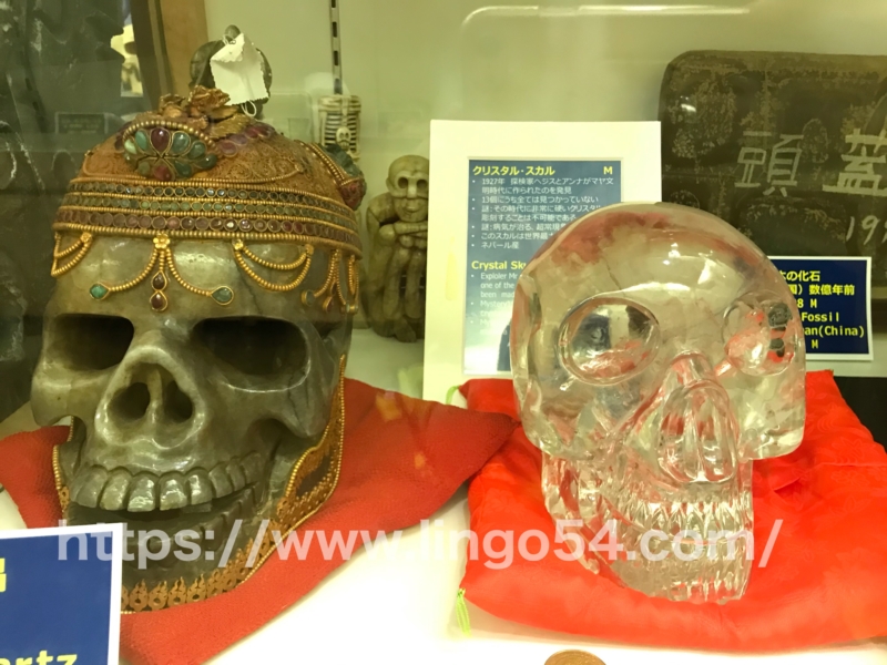 skull museum 3F