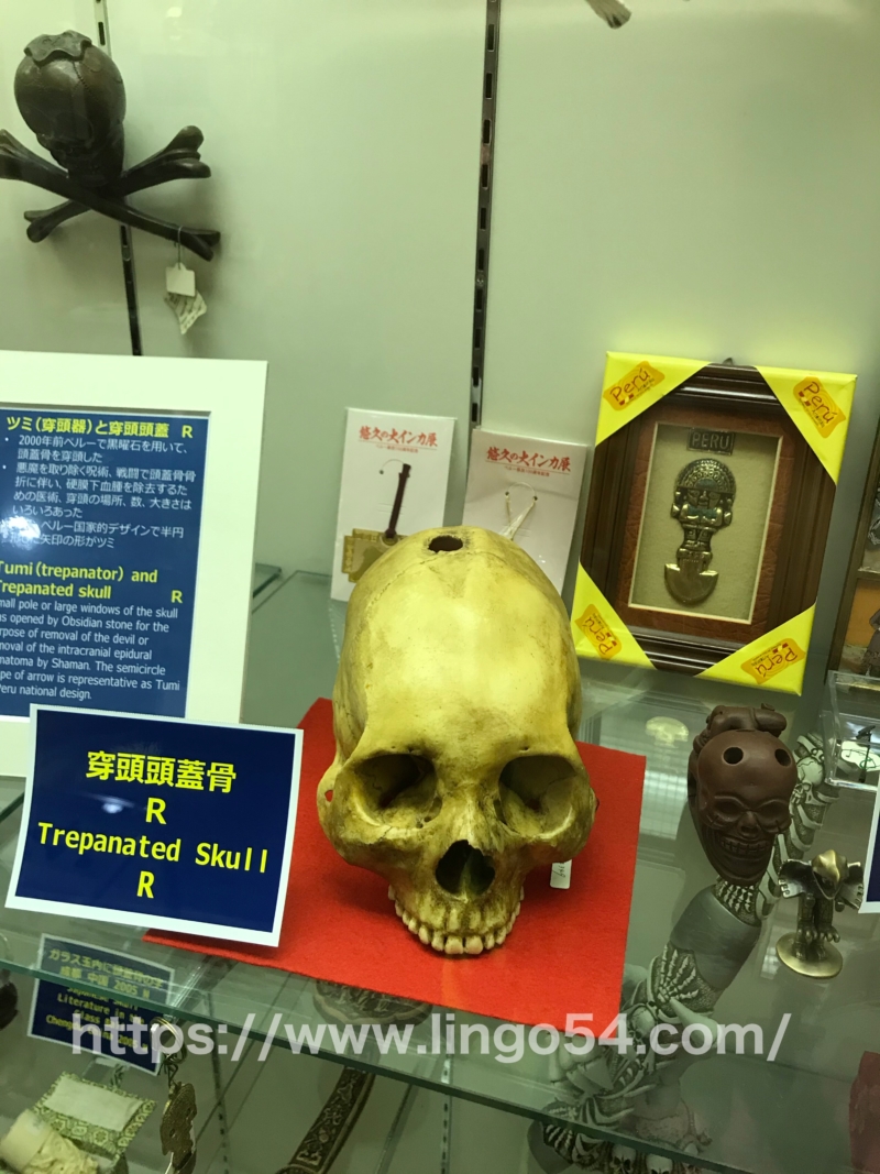 skull museum 3F